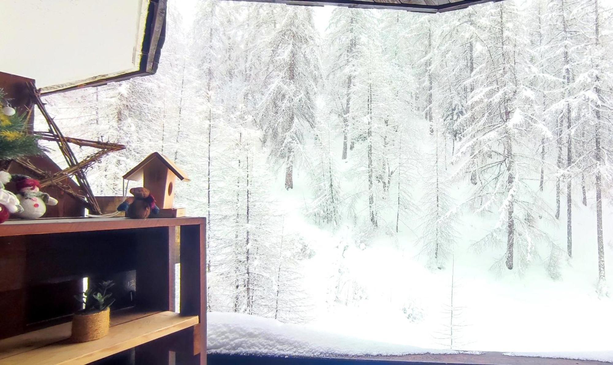 Le Petit Aupillon - L'aupillon Des Forets - 2 Cocooning Aux Orres Les Orres